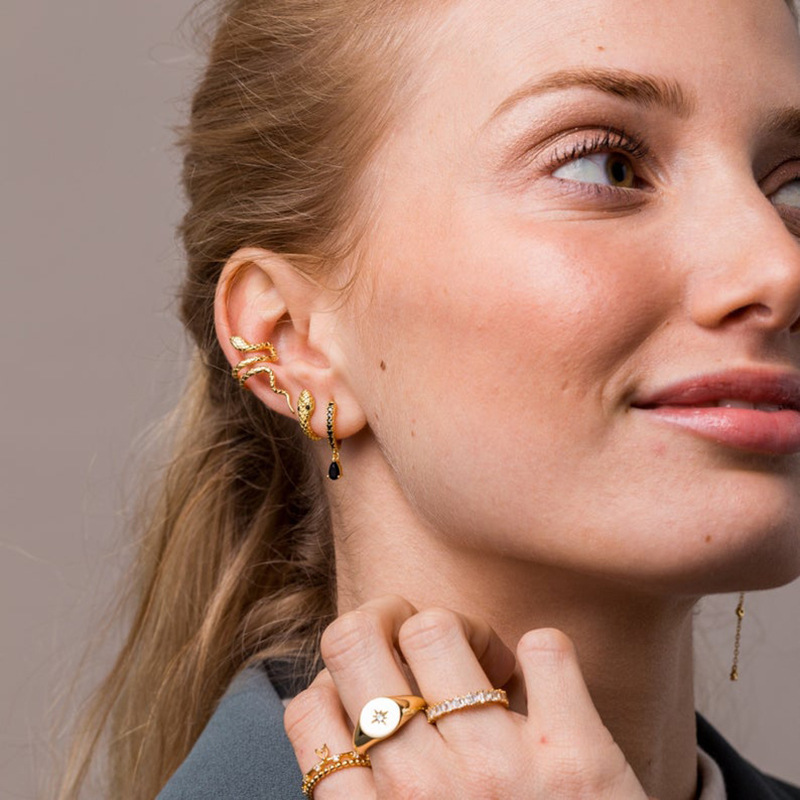 F.I.N.S Ngăn Xếp Sáng Tạo Loài - đánh giá và giá Ear Cuff No Piercing