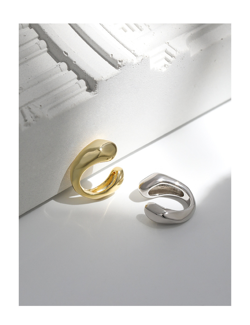 F.I.N.S 1 Sự Tối Giản Không Đề - đánh giá và giá Ear Cuff No Piercing