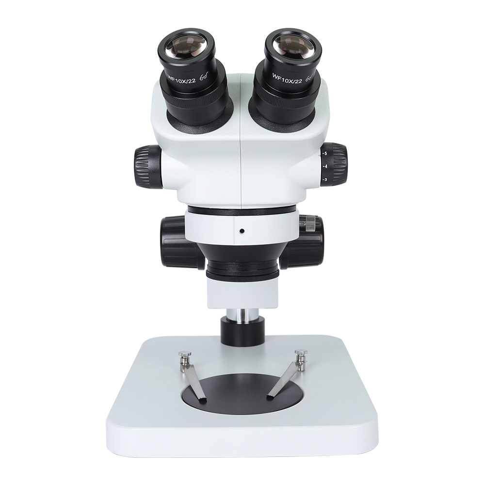 SANQTID TD-750  Trinocular Mic - đánh giá và giá Jewelry Repair & Watches Durham Nc